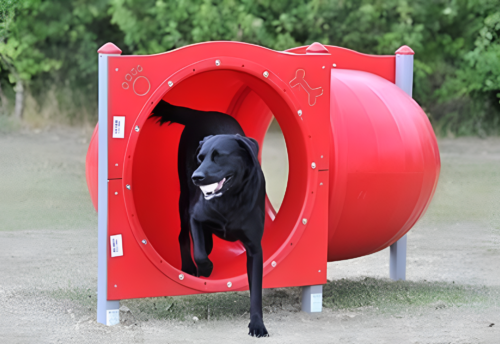 Dog Park for Your Community