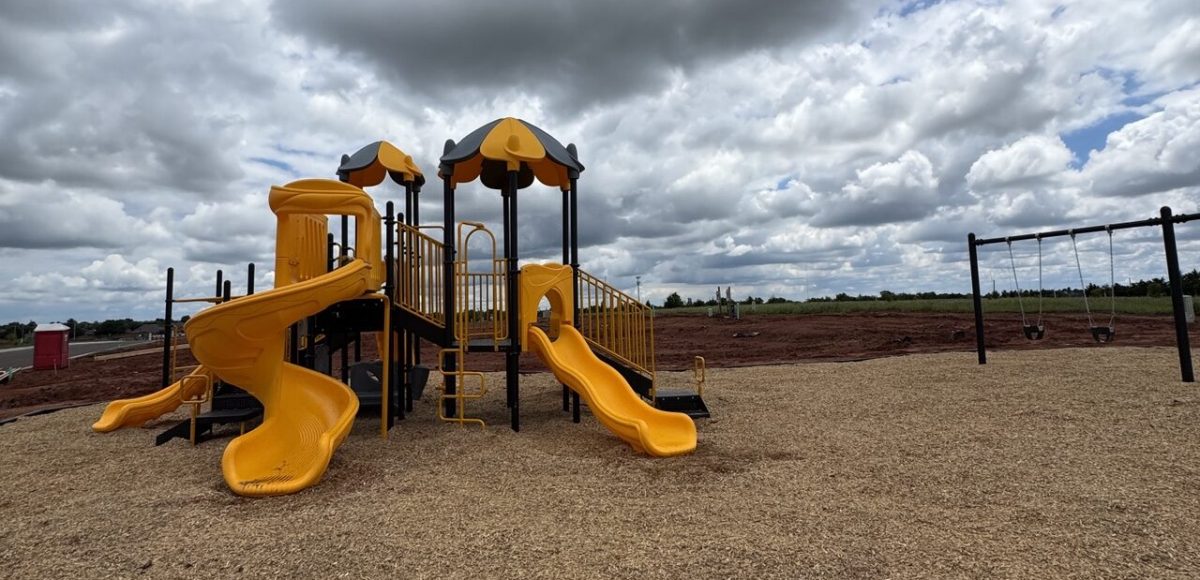 Public Park Amenities